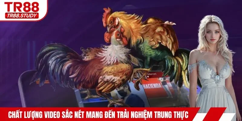 Chất lượng video sắc nét mang đến trải nghiệm trung thực