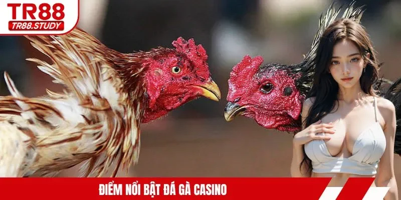 Điểm nổi bật đá gà casino