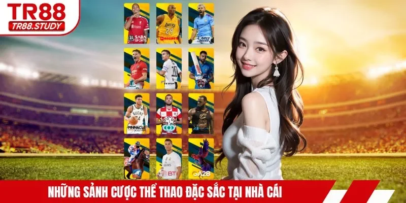 Những sảnh cược thể thao đặc sắc tại nhà cái