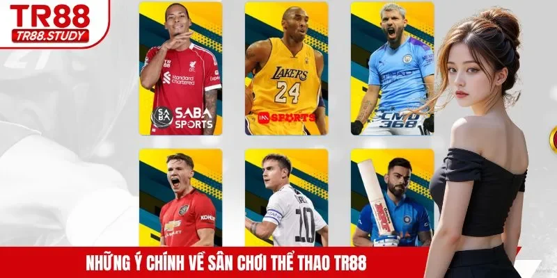 Những ý chính về sân chơi thể thao TR88